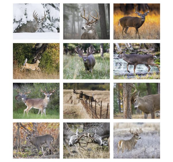 Trophy Whitetail Deer Appointment Calendar - Image 2